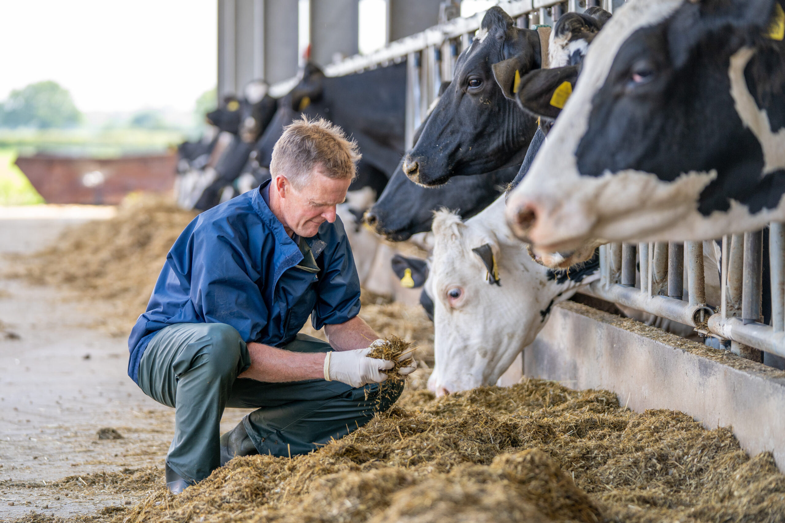Willows Farm Vets 2025-05 (HQ Print) 015