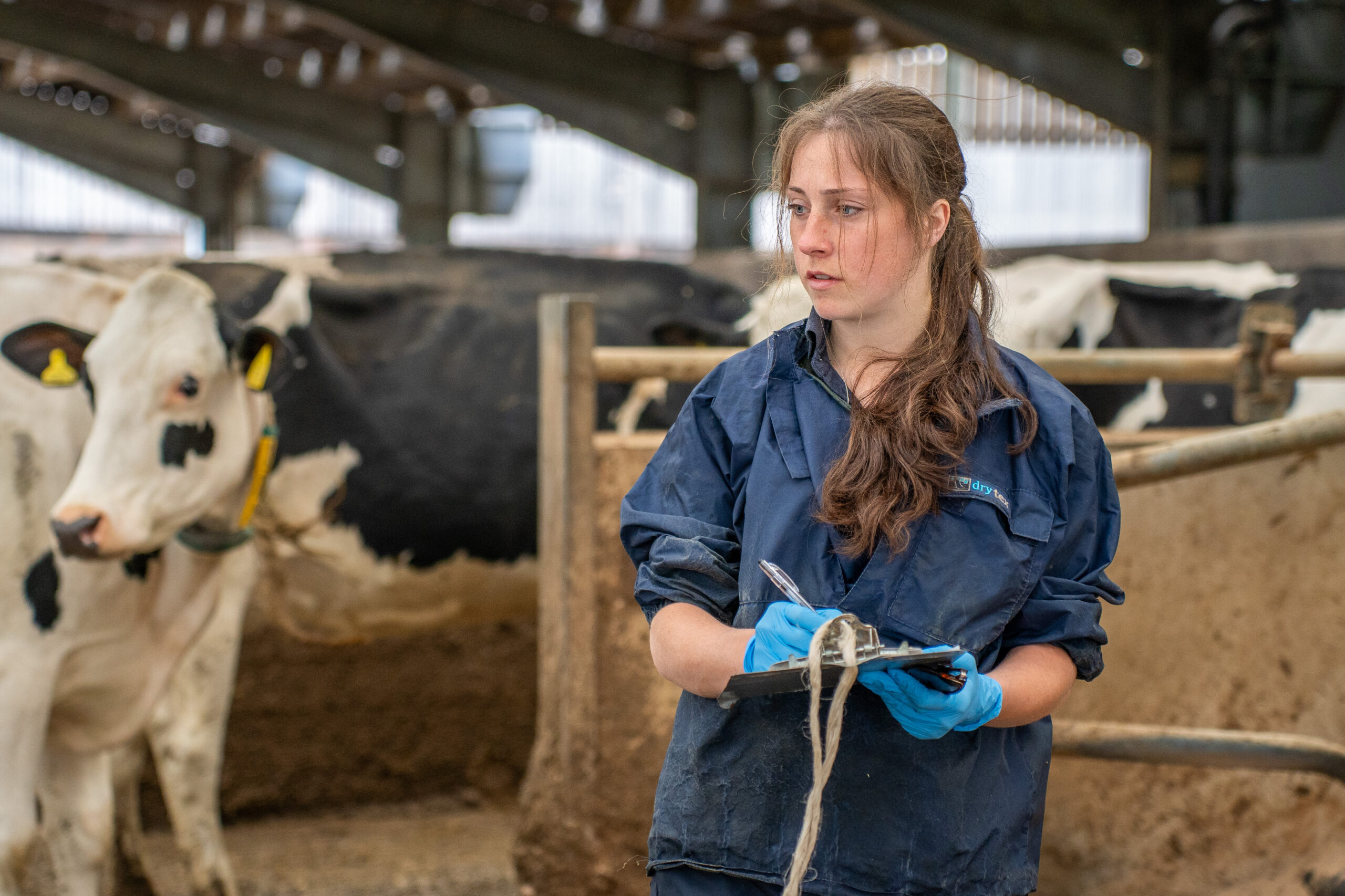 Willows Farm Vets 2025-05 (HQ Print) 076